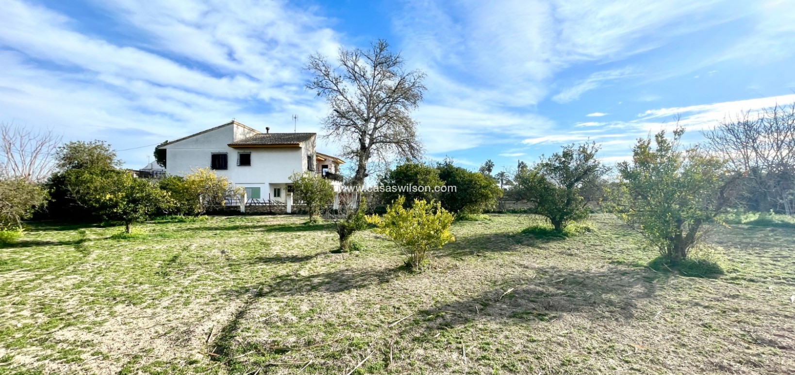 Sale - Villa - Benejúzar - Inland