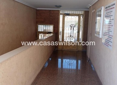 Sale - Apartment - Los Montesinos - PUEBLO CENTRO