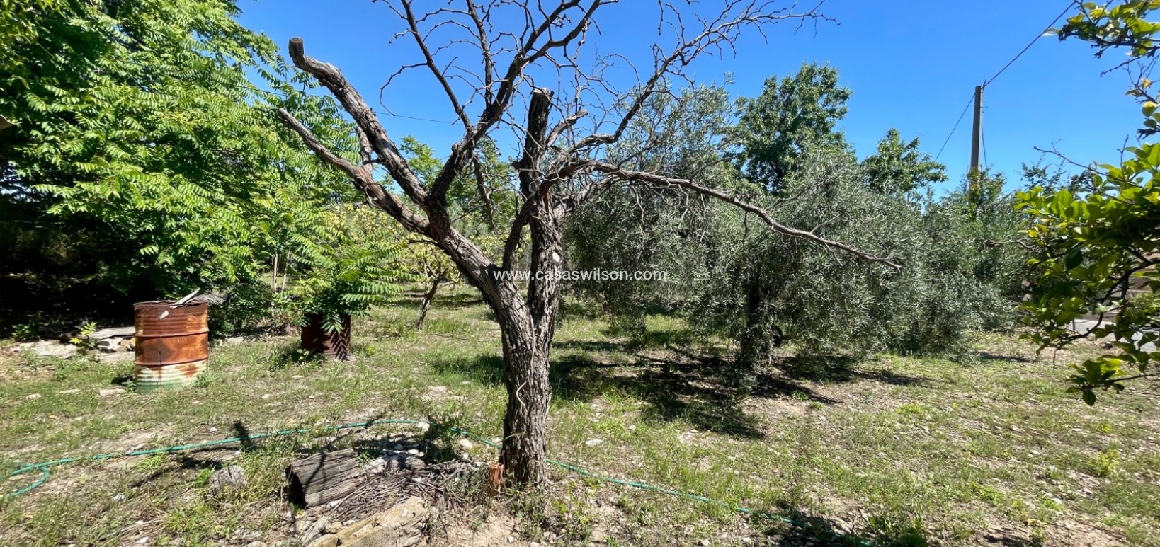 Sale - Villa - La Romana - Inland