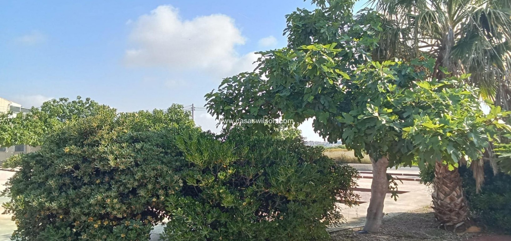 Sale - Bungalow - Torrevieja - Torretas