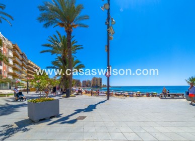 Sale - Apartment - Torrevieja - Playa del Cura