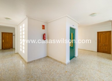 Sale - Apartment - Torrevieja - Playa del Cura