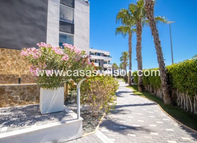 Sale - Apartment - Los Altos - AMANECER