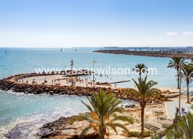 Venta - Apartamento - Torrevieja - Playa del Cura