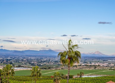 Sale - Villa - Algorfa - Lomas de La Juliana