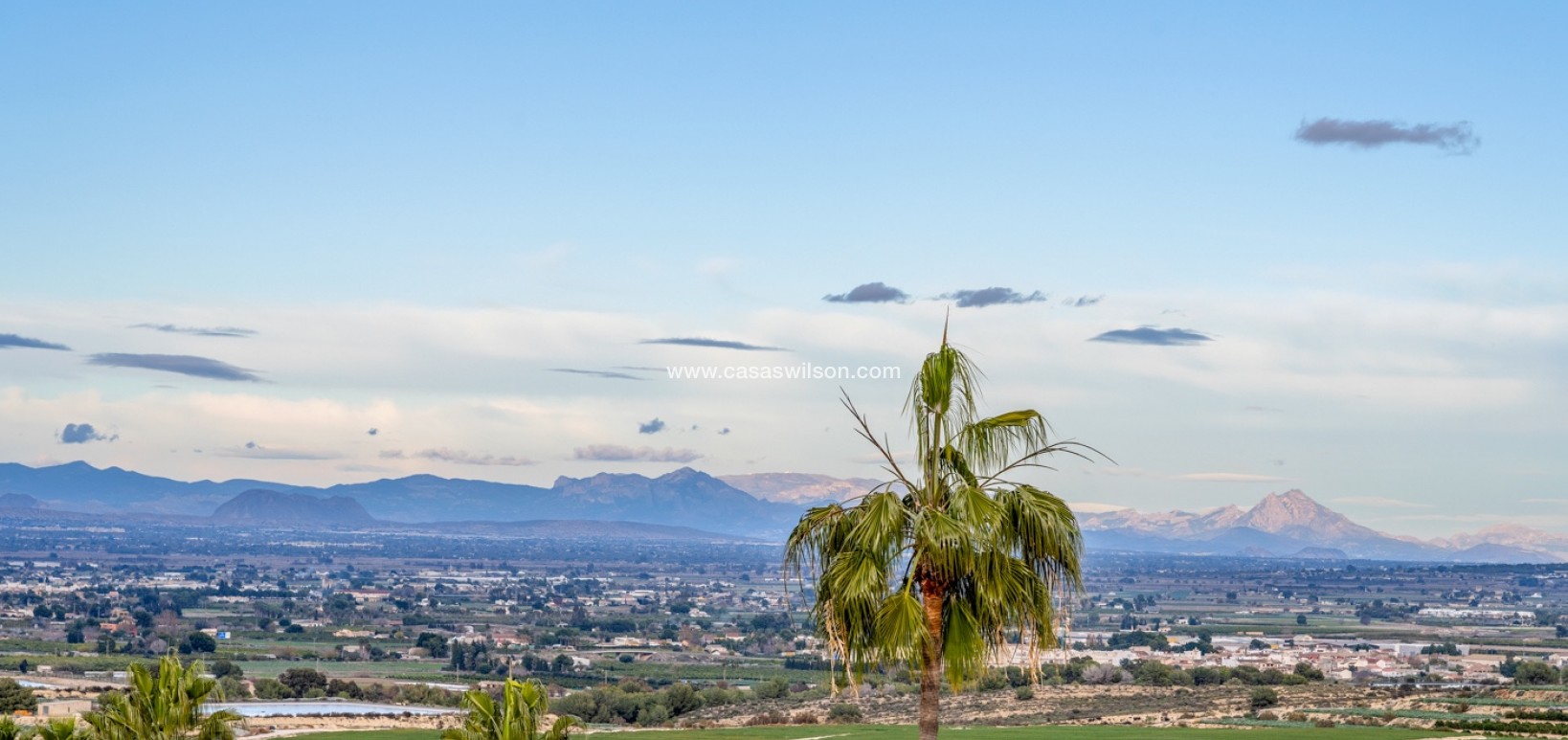 Sale - Villa - Algorfa - Lomas de La Juliana