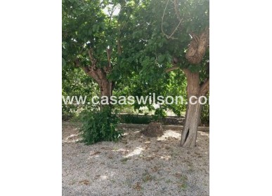 Sale - Country Property - Redován - Inland