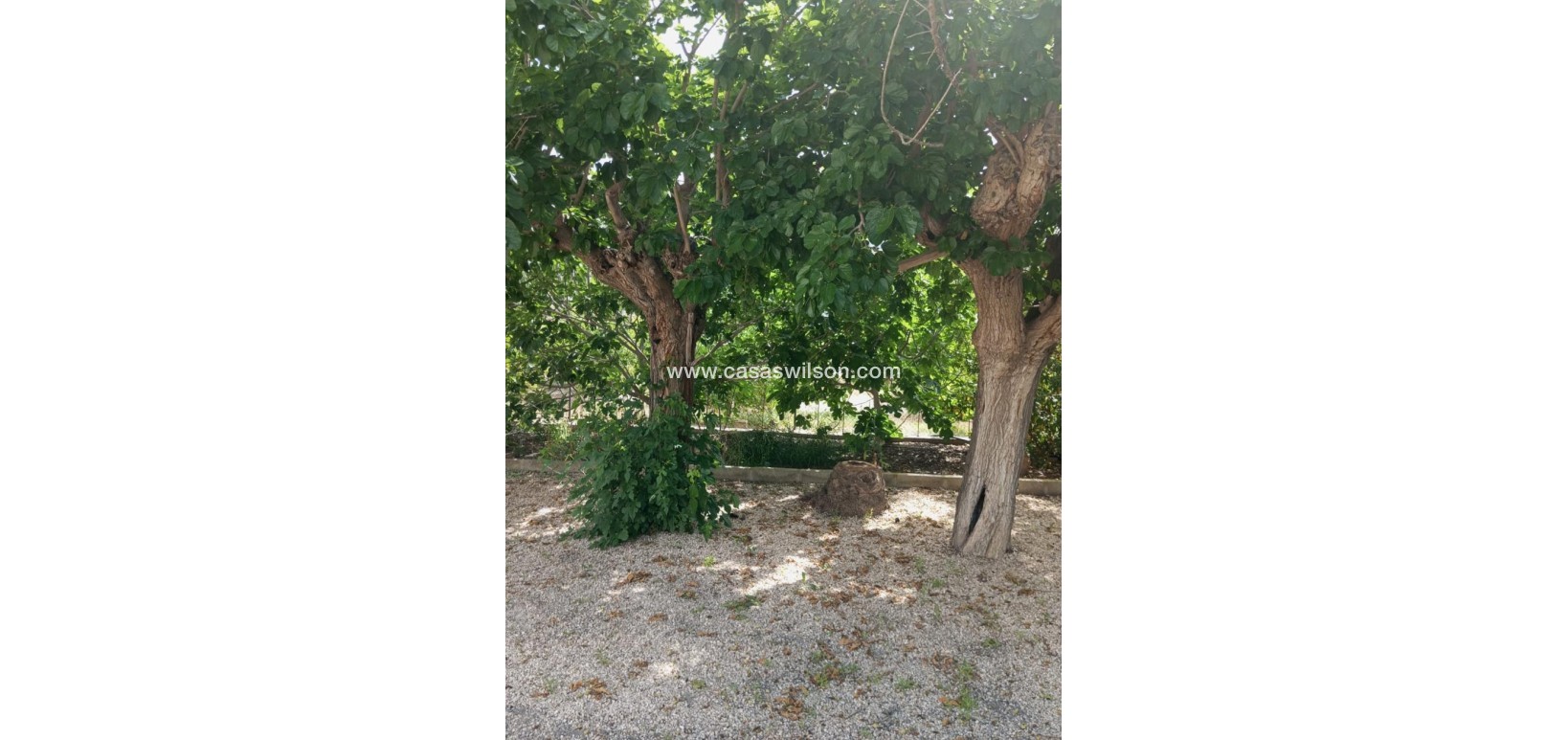 Sale - Country Property - Redován - Inland