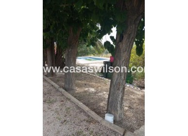 Sale - Country Property - Redován - Inland