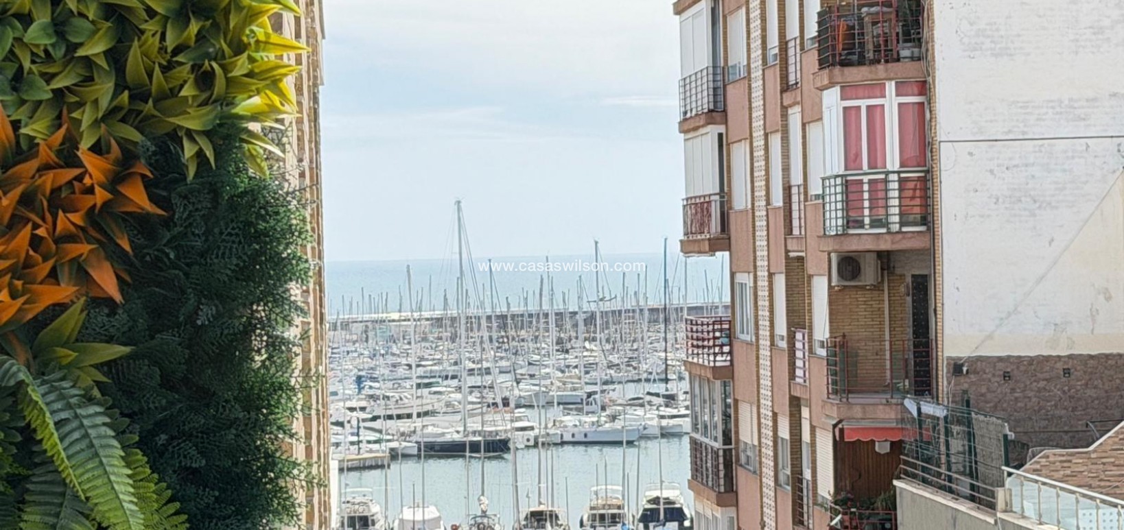 Sale - Appartement - Torrevieja - Centro