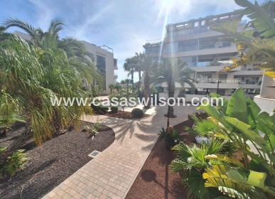 Venta - Apartamento - Orihuela Costa - Los Dolses