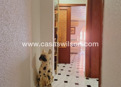 Venta - Apartamento - Torrevieja - Acequion