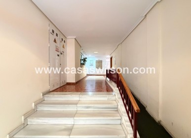 Venta - Apartamento - Torrevieja - Estacion De Autobuses