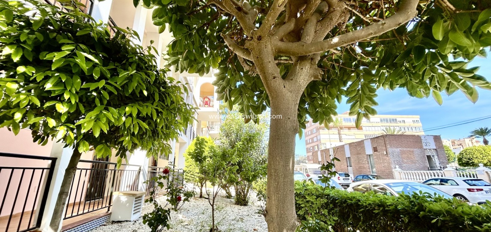 Venta - Apartamento - Torrevieja - Costa Blanca