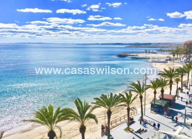 New Build - Villa - Torrevieja - Lago Jardín II