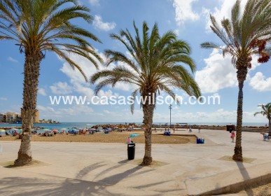 Sale - Bungalow - Torrevieja - Nueva Torrevieja