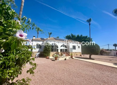 Sale - Country Property - Catral