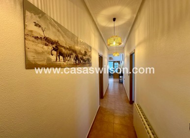 Sale - Country Property - Catral