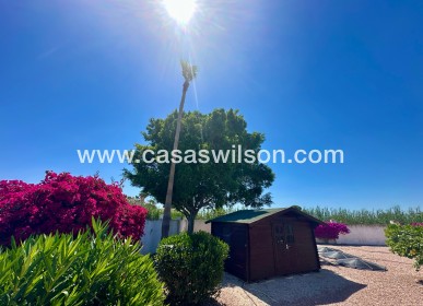 Sale - Country Property - Catral