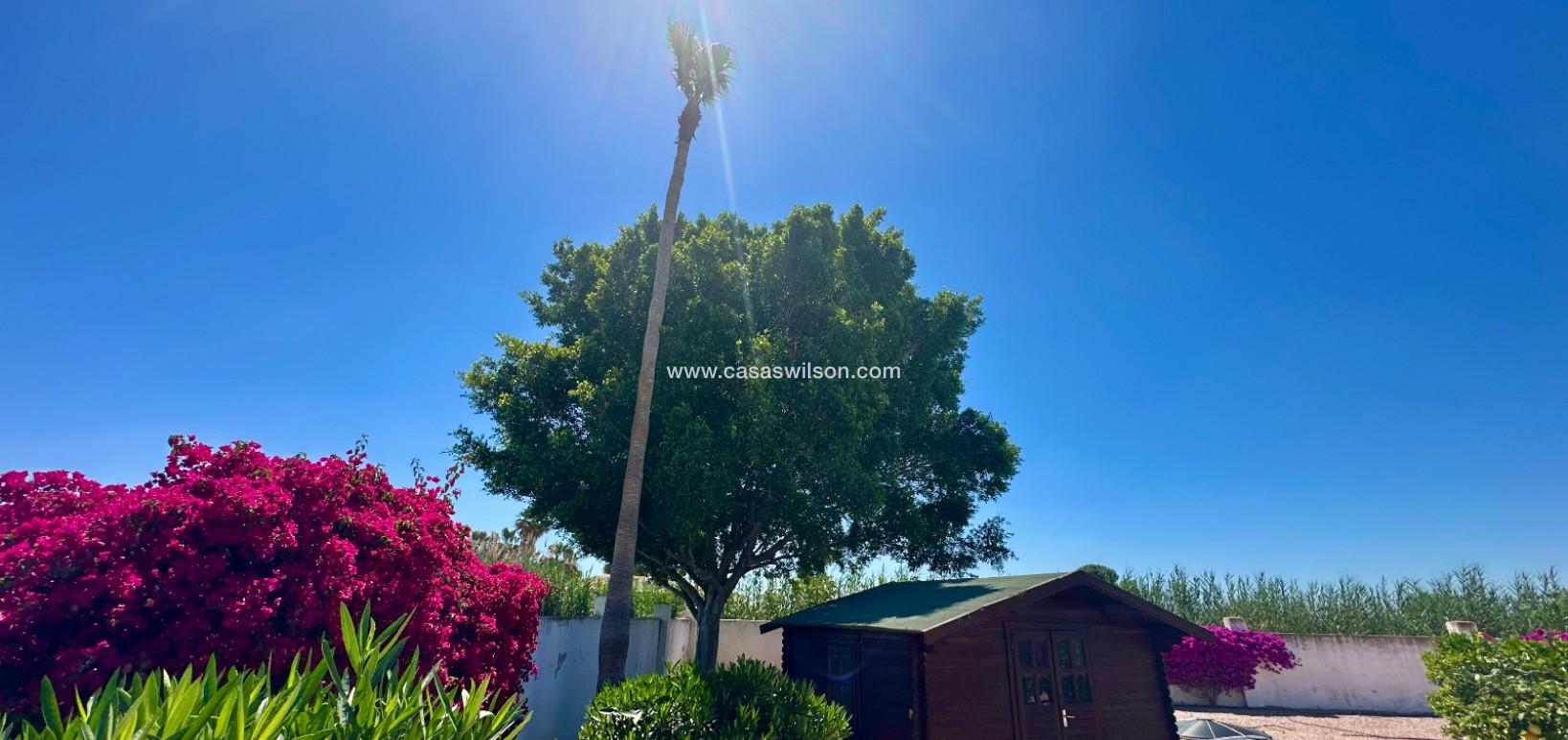 Sale - Country Property - Catral