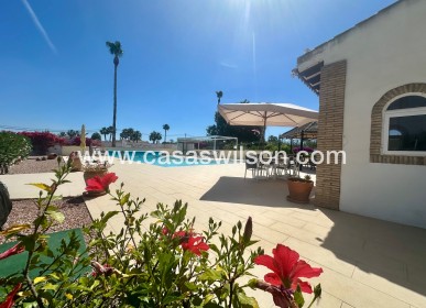 Sale - Country Property - Catral