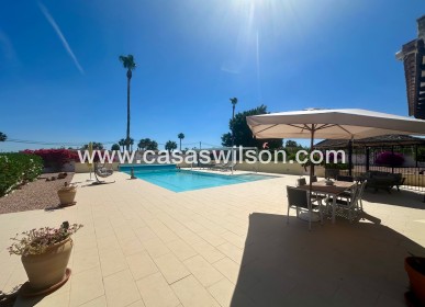 Sale - Country Property - Catral