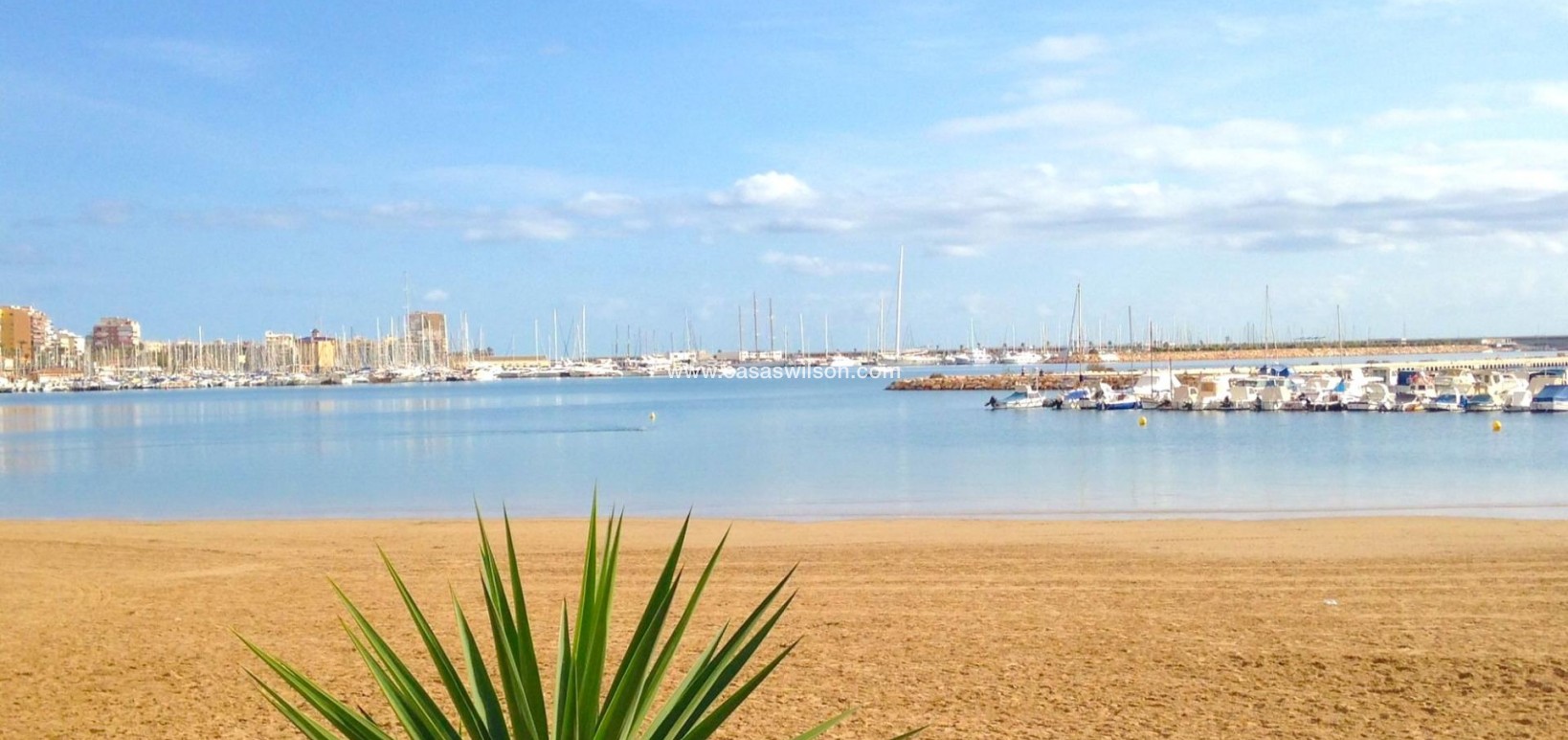 Venta - Apartamento - Torrevieja - El Acequión - Los Náufragos