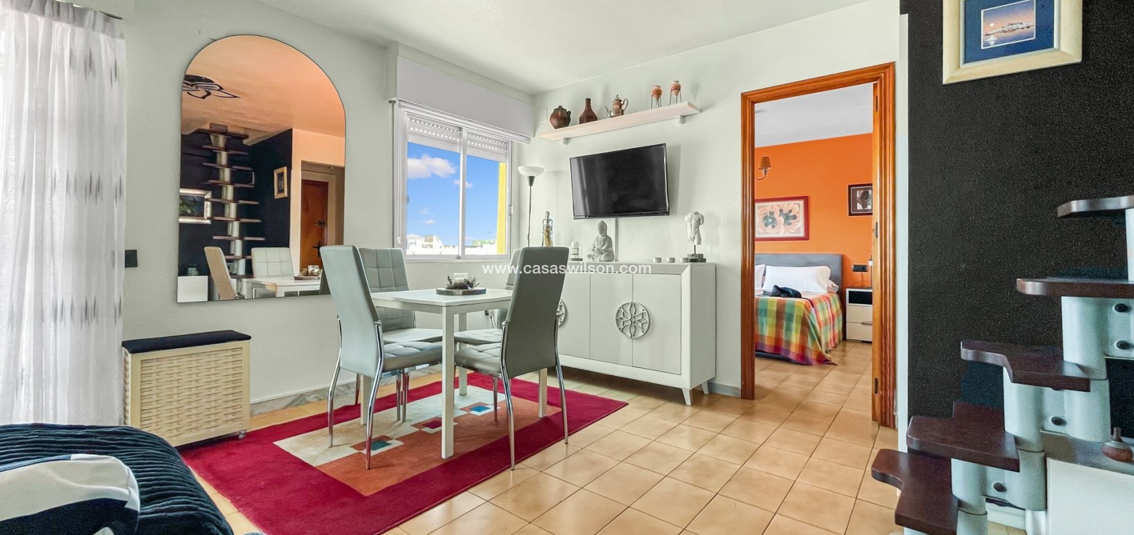 Venta - Apartamento - Torrevieja - Costa Blanca