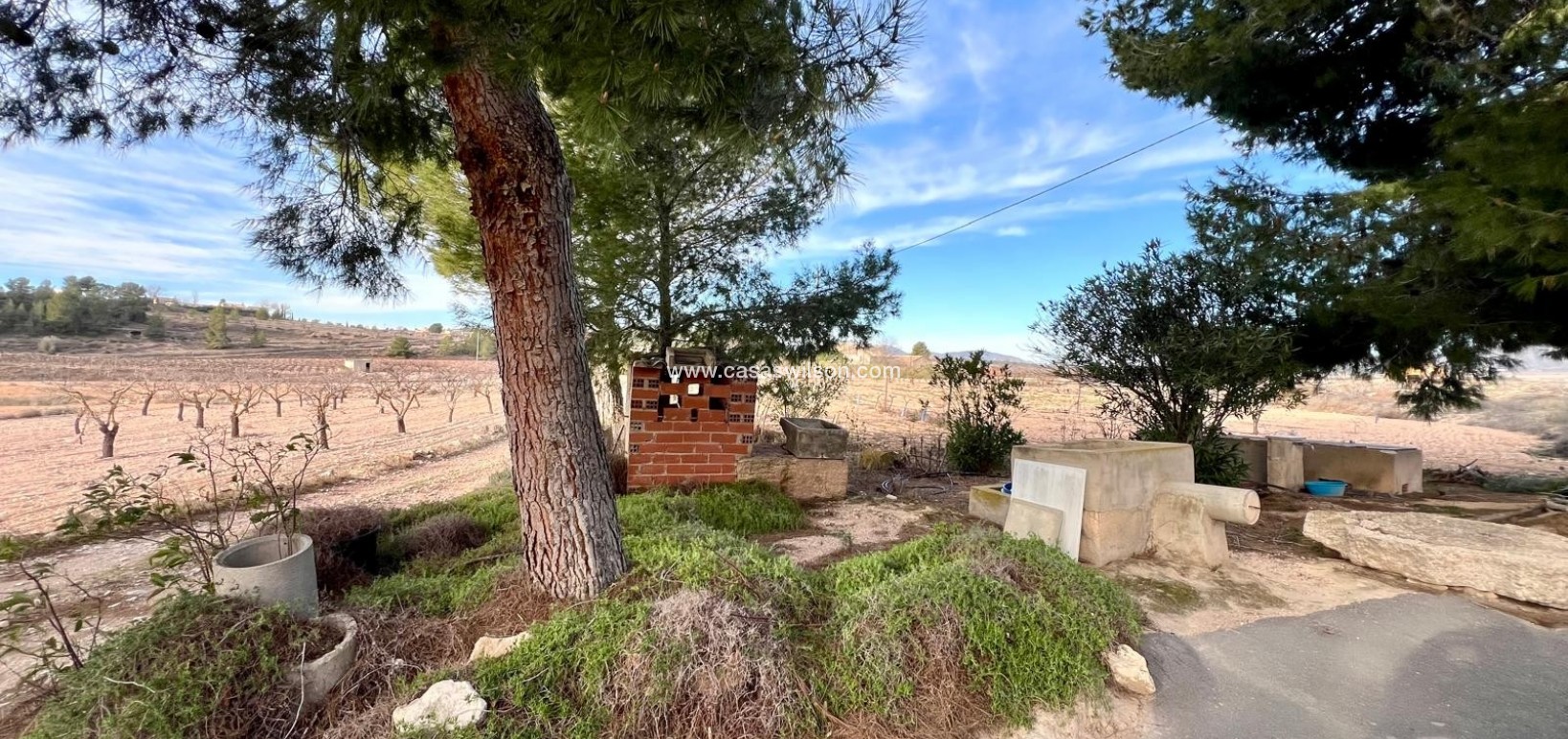 Sale - Country Property - Monóvar/Monóver - Inland