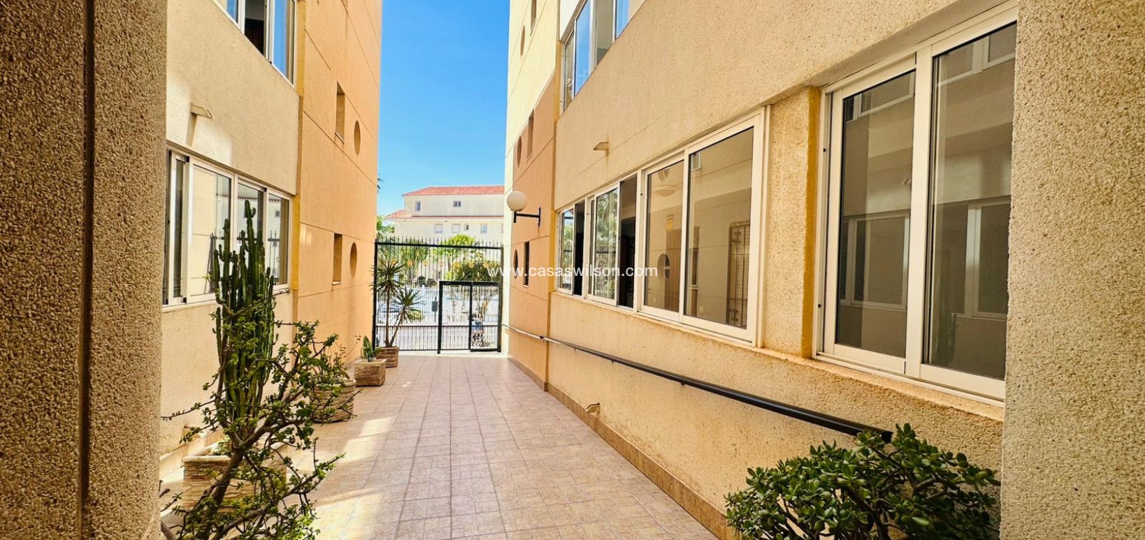 Venta - Apartamento - Torrevieja - Costa Blanca