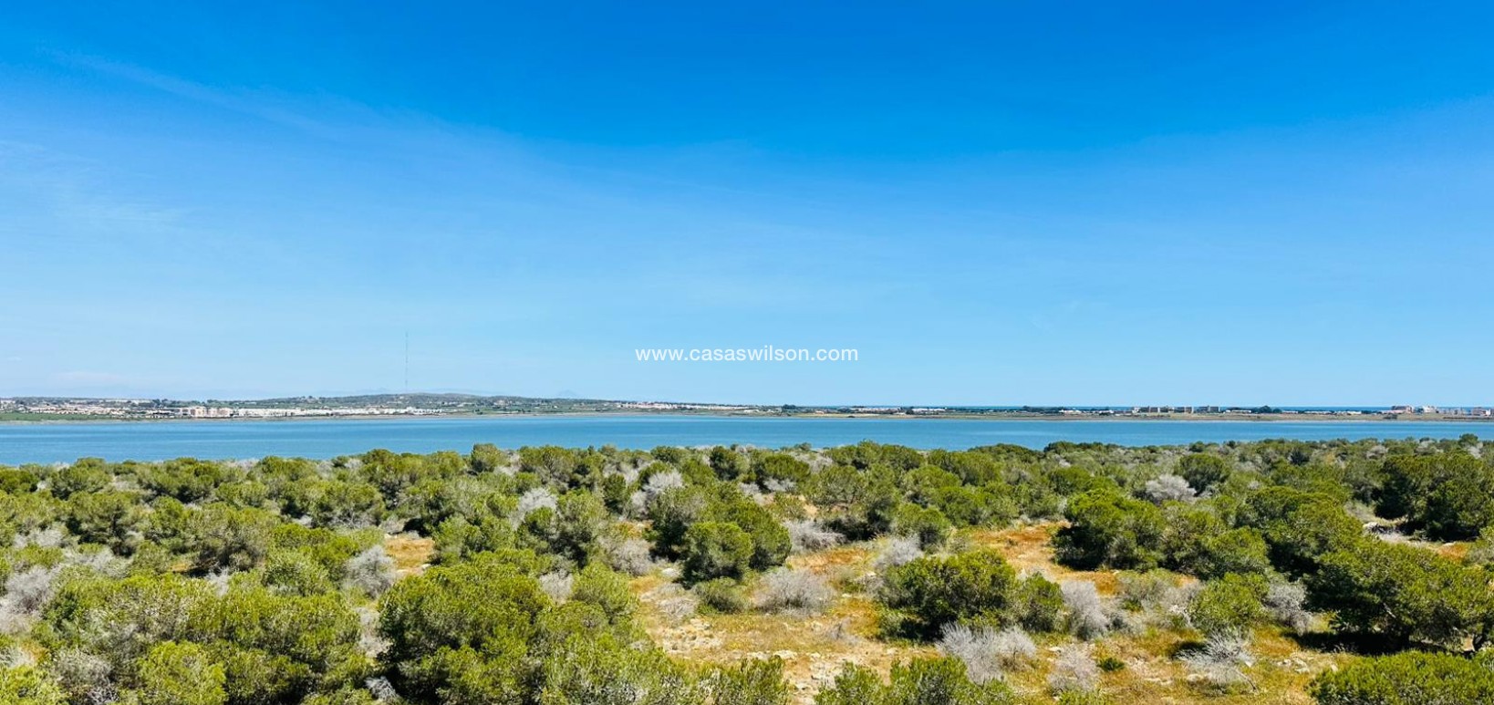 Venta - Apartamento - Torrevieja - Costa Blanca
