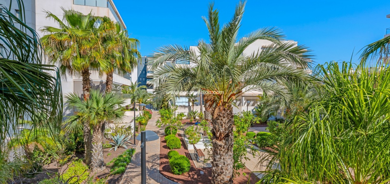 Sale - Appartement - Orihuela Costa - Los Dolses