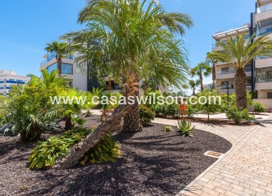 Sale - Appartement - Orihuela Costa - Los Dolses