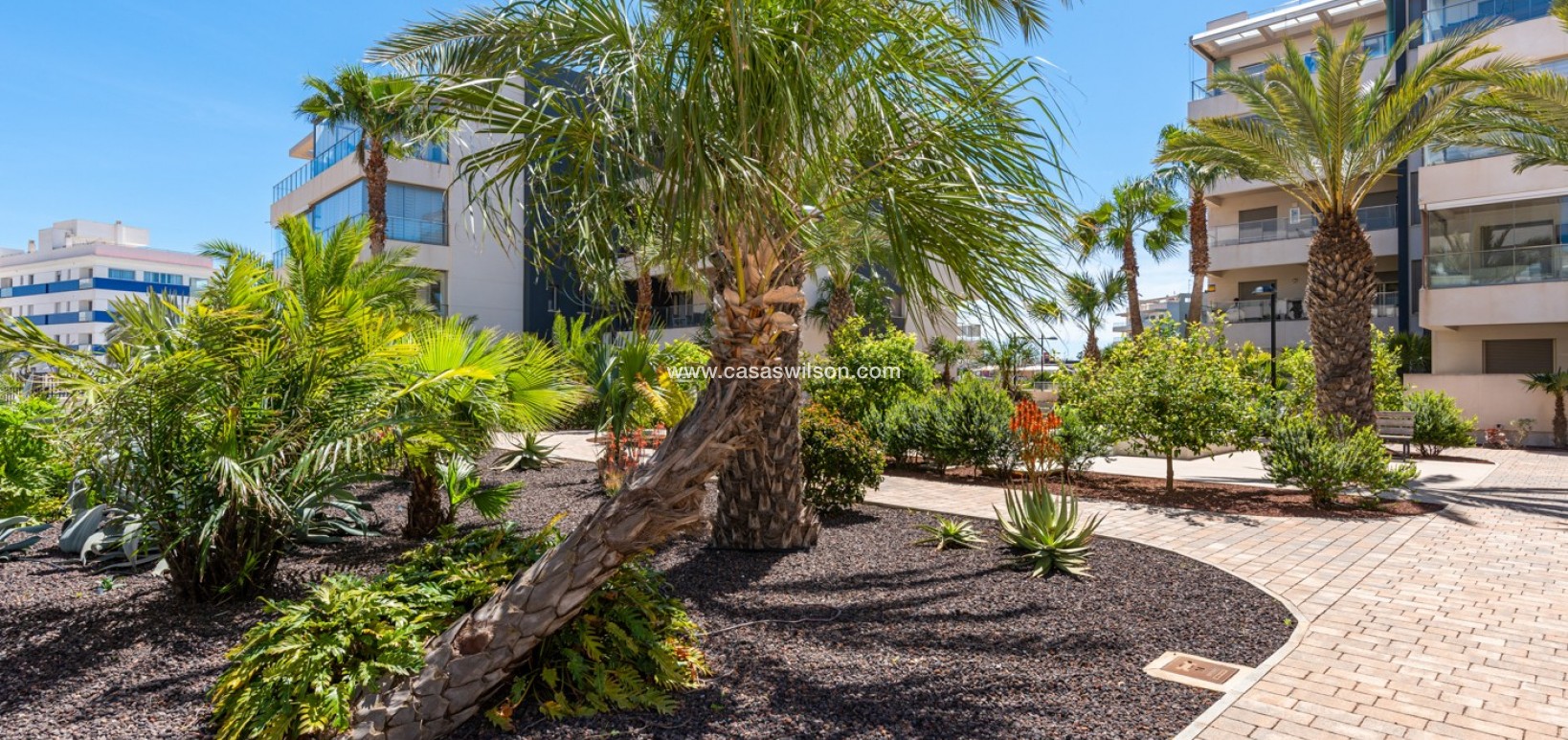Sale - Appartement - Orihuela Costa - Los Dolses