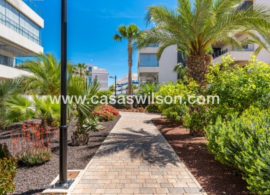 Sale - Appartement - Orihuela Costa - Los Dolses