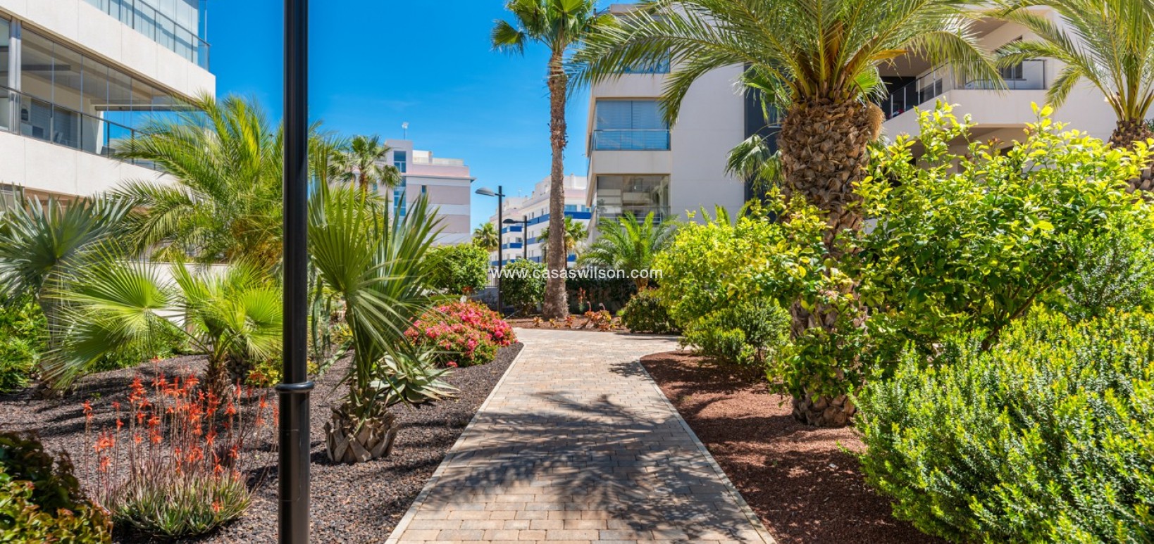 Sale - Appartement - Orihuela Costa - Los Dolses
