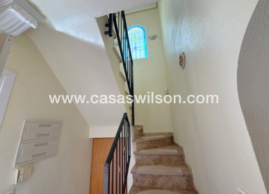 Venta - Chalet - Cabo Roig - Cabo Roig>La Regia