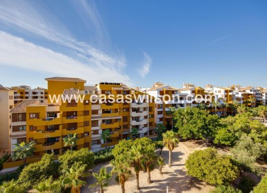 Venta - Apartamento - Torrevieja - Punta prima