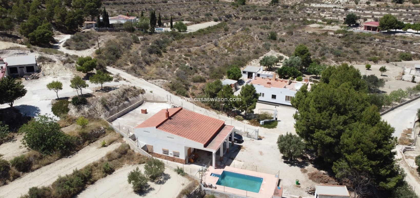 Venta - Finca - Crevillente - Inland
