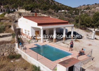 Venta - Finca - Crevillente - Inland