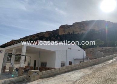 Venta - Finca - Crevillente - Inland