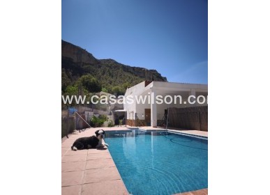 Venta - Finca - Crevillente - Inland