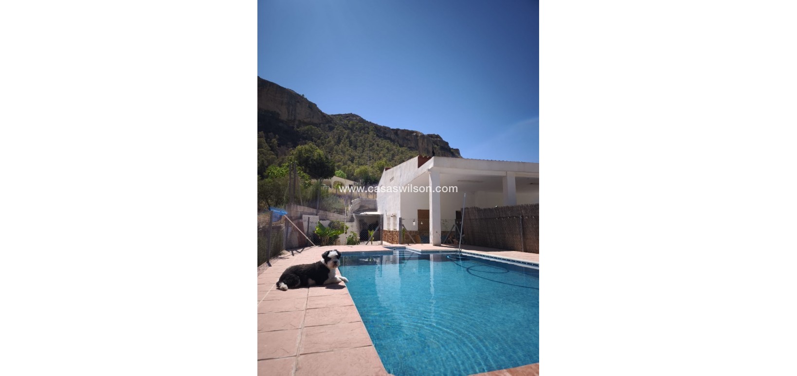 Venta - Finca - Crevillente - Inland