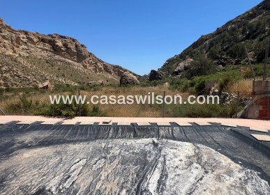Venta - Finca - Crevillente - Inland