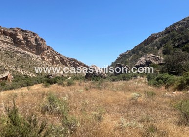 Venta - Finca - Crevillente - Inland