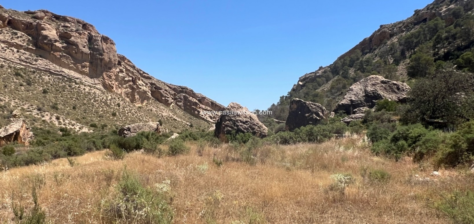 Venta - Finca - Crevillente - Inland
