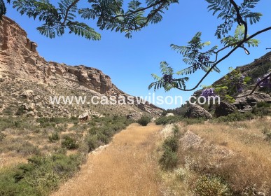 Venta - Finca - Crevillente - Inland