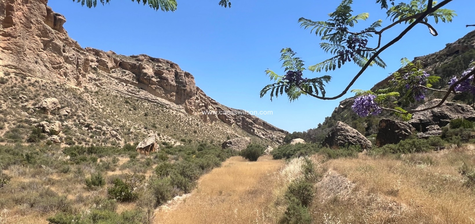 Venta - Finca - Crevillente - Inland