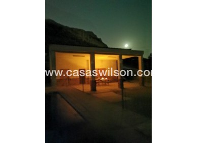 Venta - Finca - Crevillente - Inland