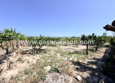 Sale - Country Property - La Marina - Costa Blanca